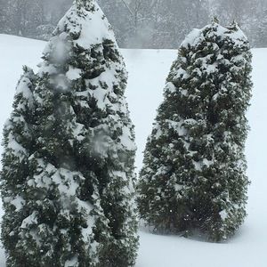 Meet your Posher, Lexie